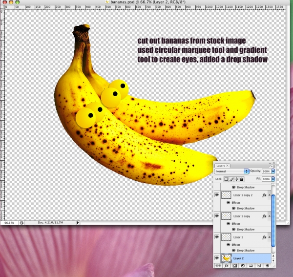 Creation of Coco - Nutter!: Step 2